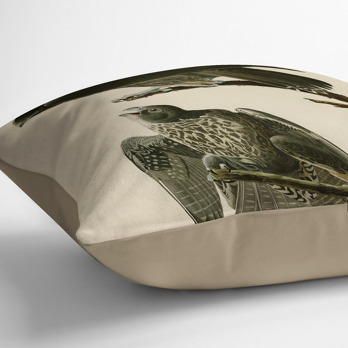 Labrador Falcon by Audubon Cushion