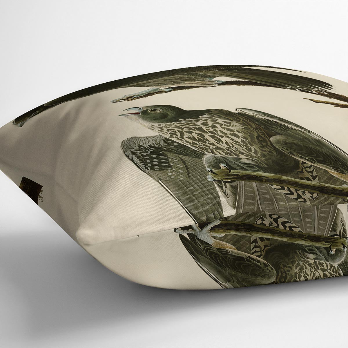 Labrador Falcon by Audubon Cushion