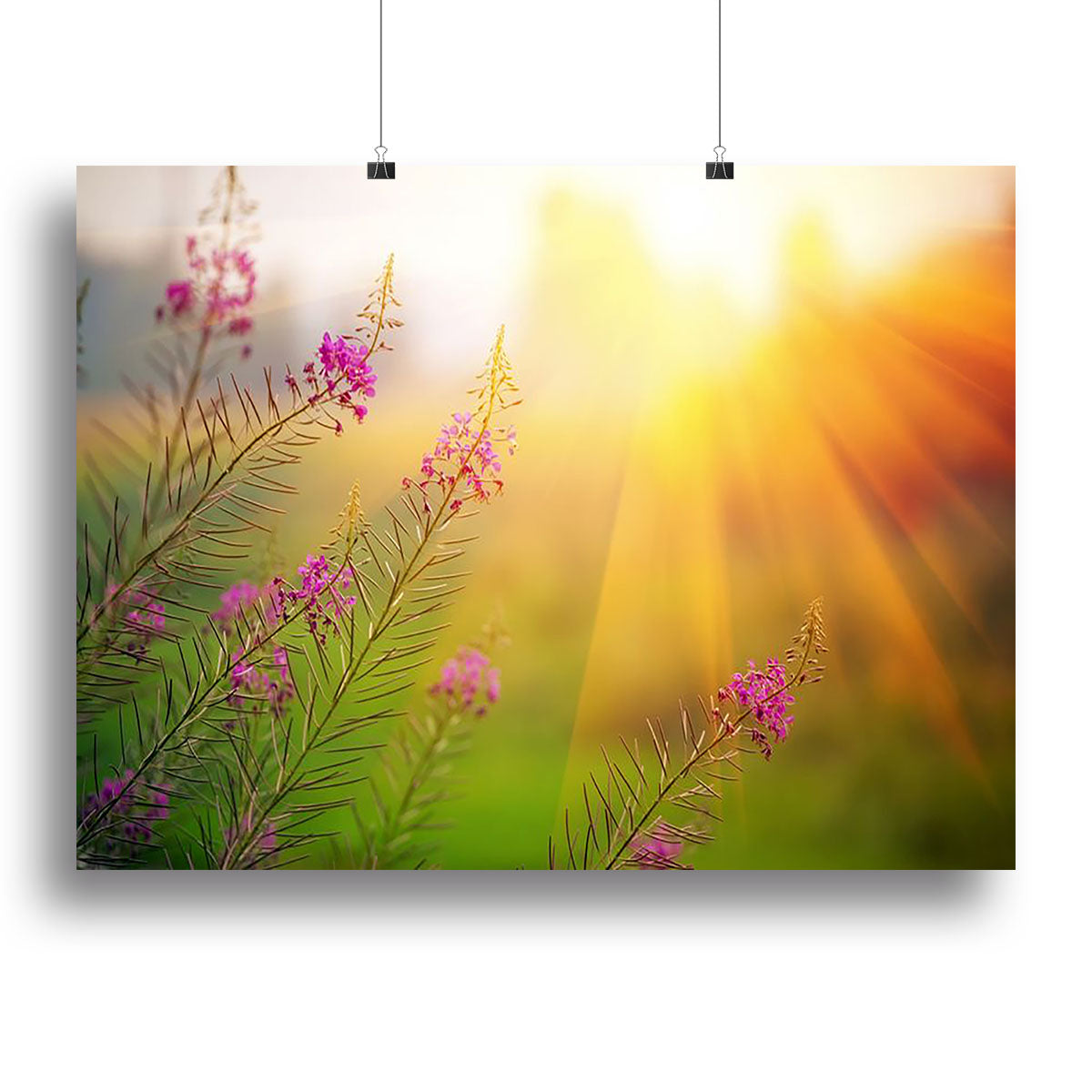 Landscape with Fireweed at sunny summer Canvas Print or Poster - Canvas Art Rocks - 2