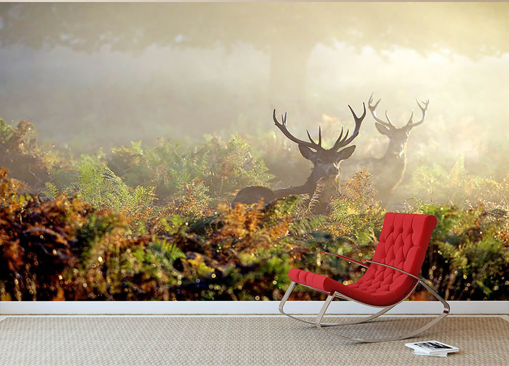 Large red deer stag in mist Wall Mural Wallpaper - Canvas Art Rocks - 2
