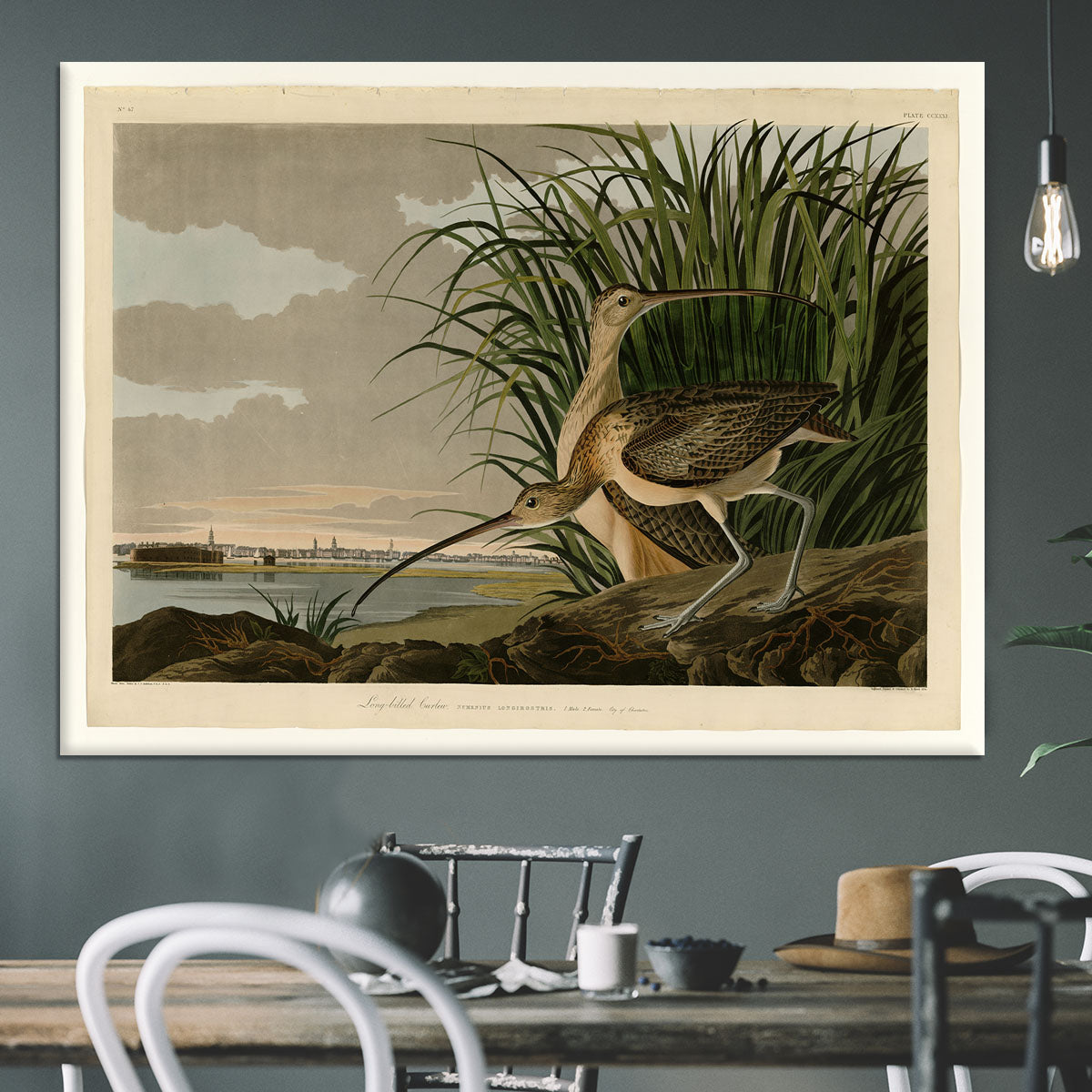 Long billed Curlew by Audubon Canvas Print or Poster - Canvas Art Rocks - 3