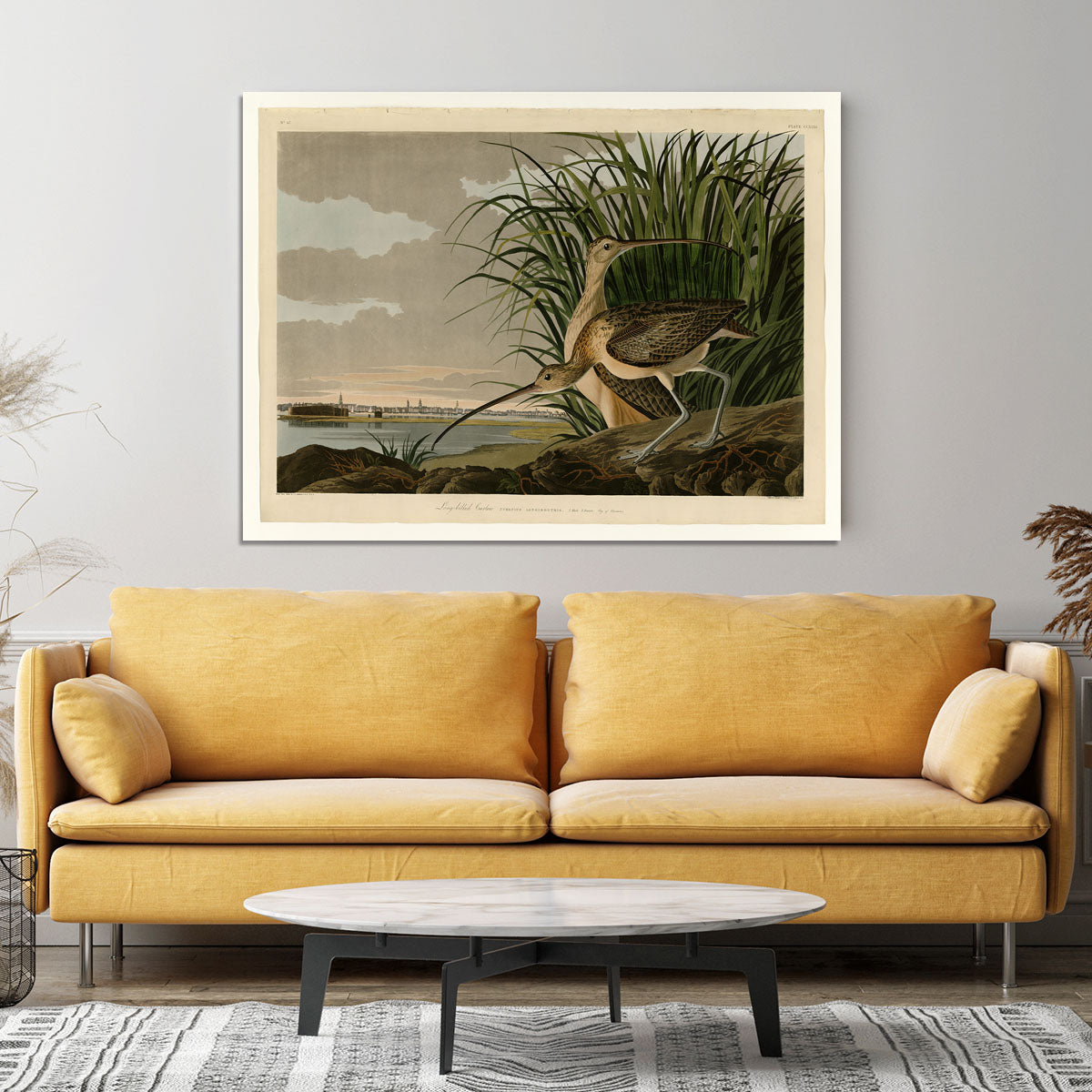 Long billed Curlew by Audubon Canvas Print or Poster - Canvas Art Rocks - 4