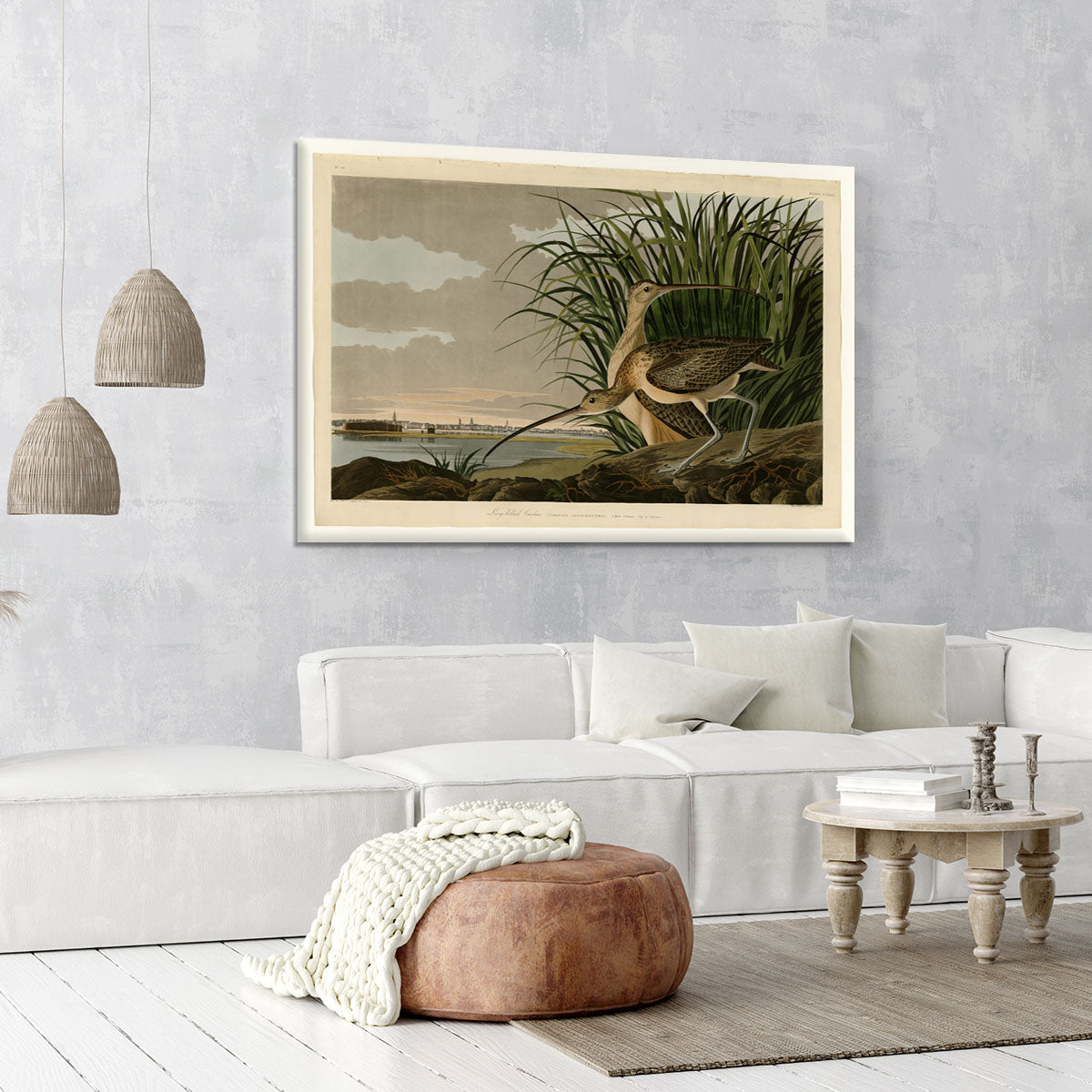 Long billed Curlew by Audubon Canvas Print or Poster - Canvas Art Rocks - 6
