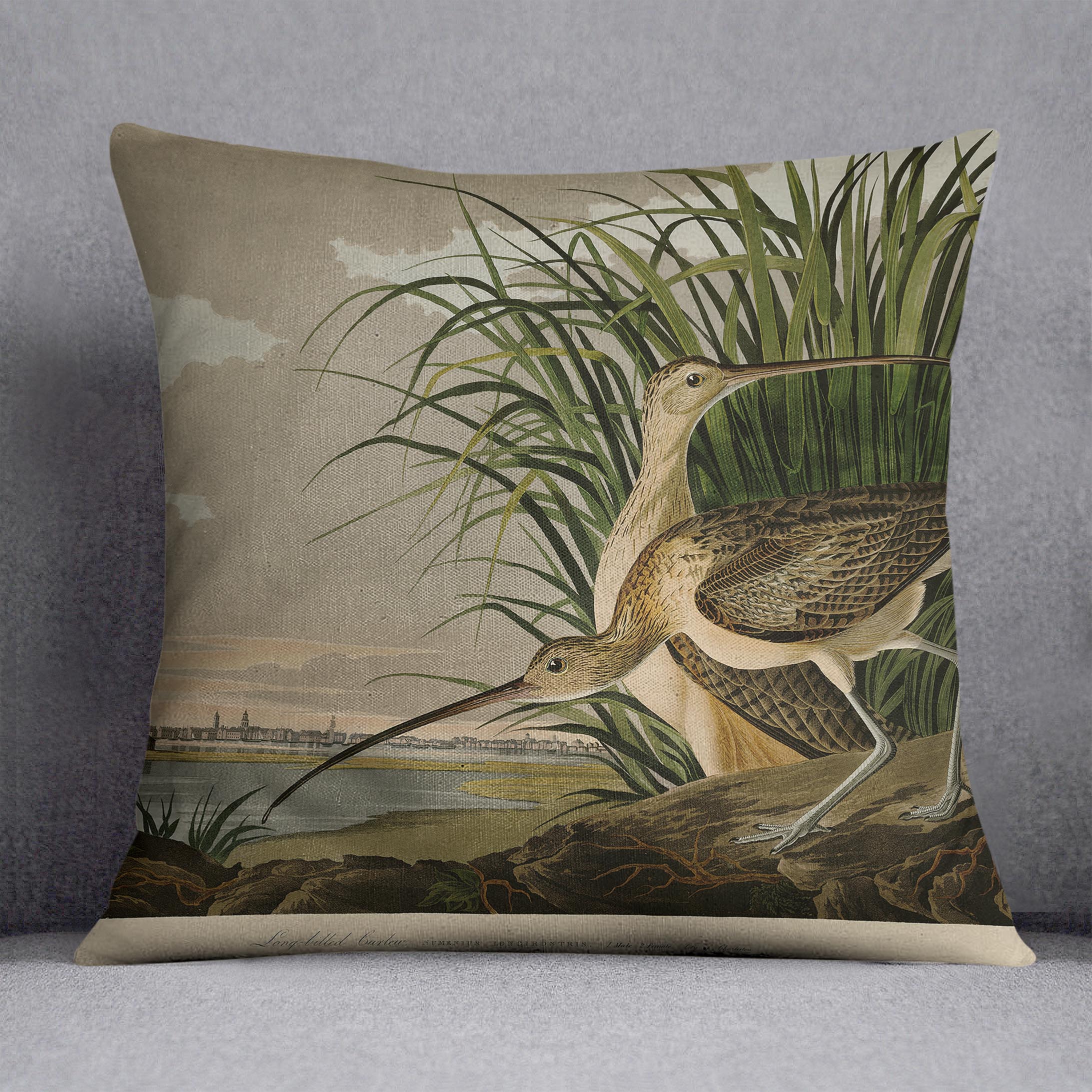 Long billed Curlew by Audubon Cushion