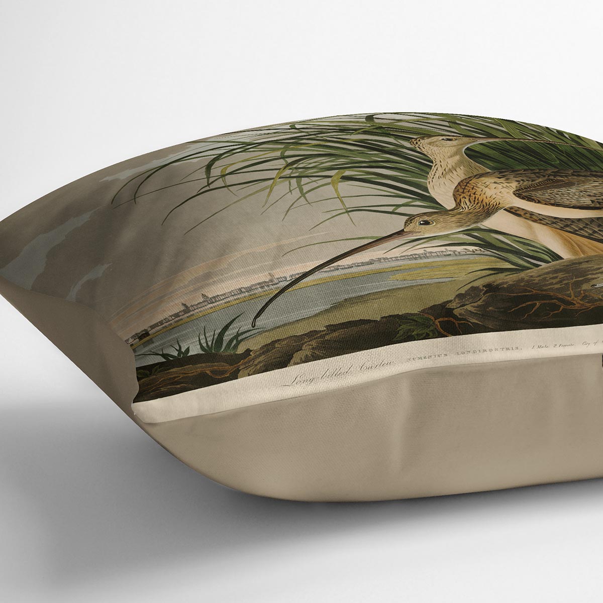Long billed Curlew by Audubon Cushion