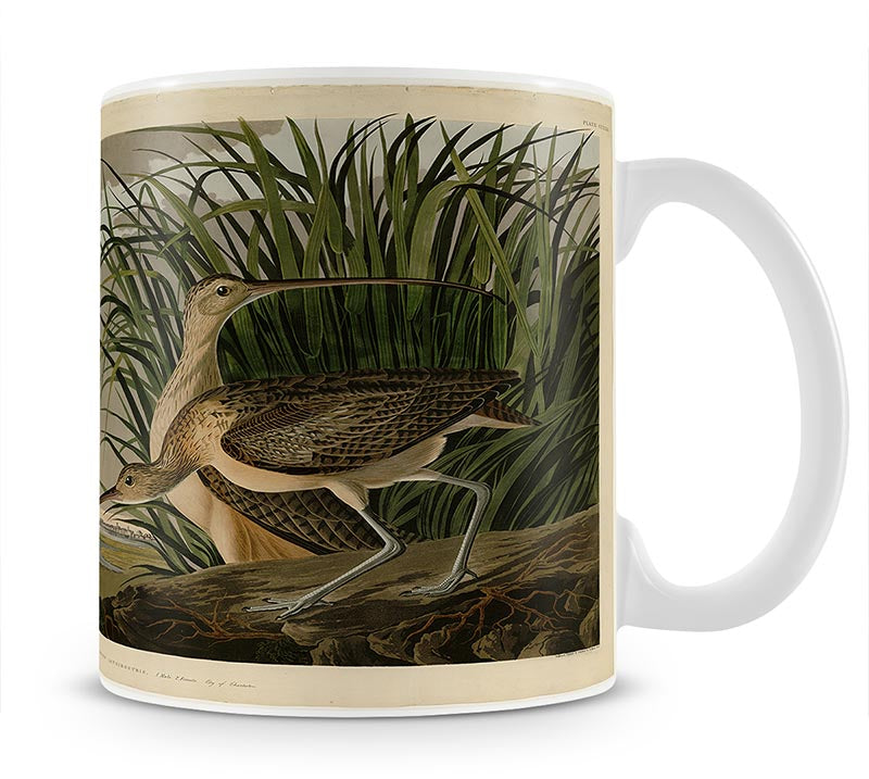 Long billed Curlew by Audubon Mug - Canvas Art Rocks - 1