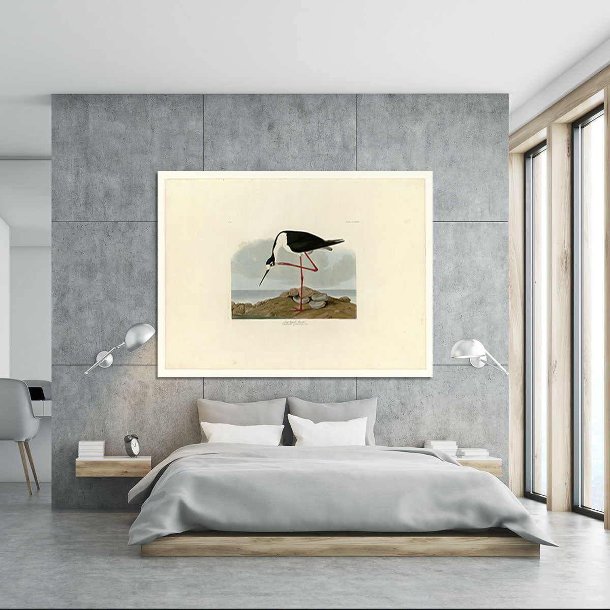 Long legged Avocet by Audubon Canvas Print or Poster - Canvas Art Rocks - 5