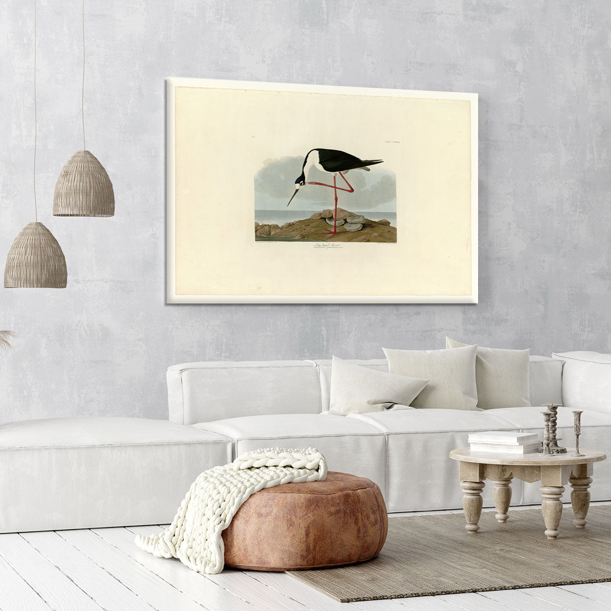 Long legged Avocet by Audubon Canvas Print or Poster - Canvas Art Rocks - 6