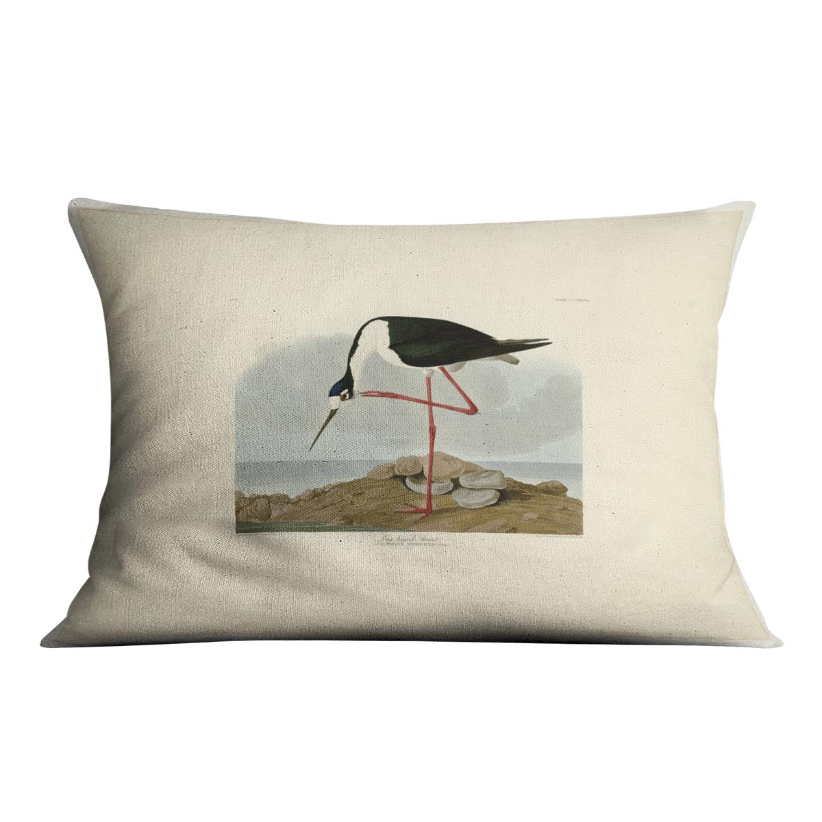 Long legged Avocet by Audubon Cushion