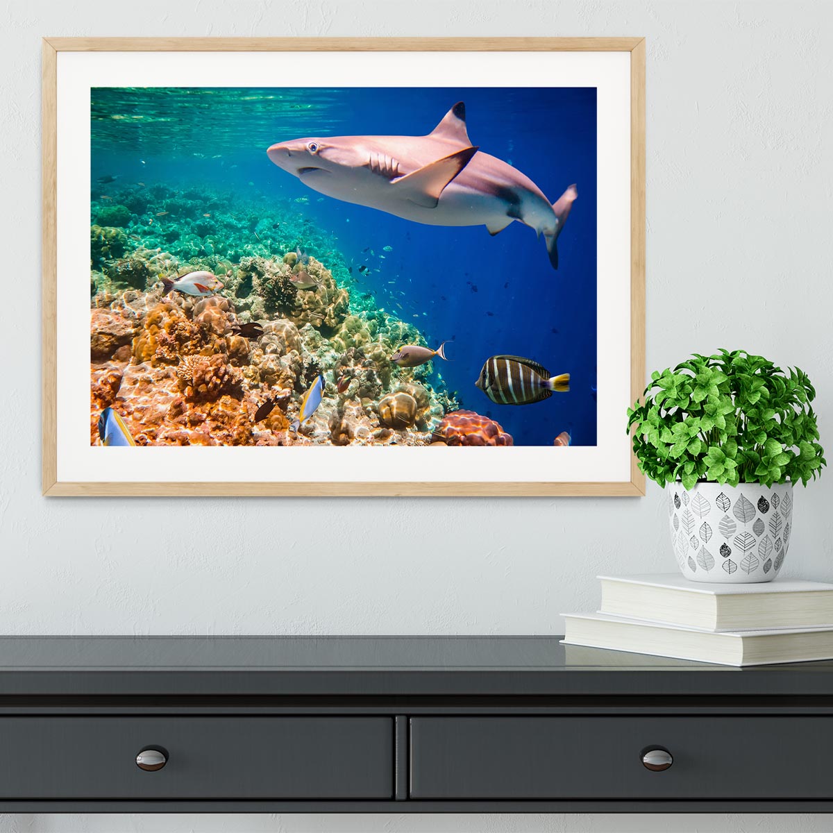 Maldives Indian Ocean coral reef Framed Print - Canvas Art Rocks - 3