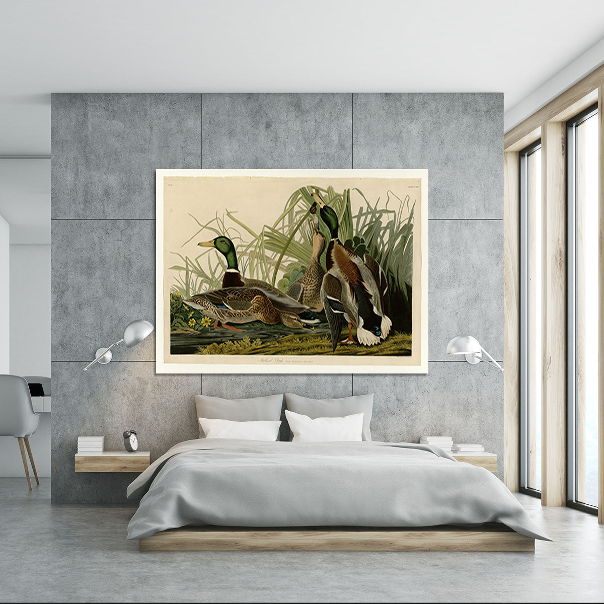 Mallard Duck by Audubon Canvas Print or Poster - Canvas Art Rocks - 5