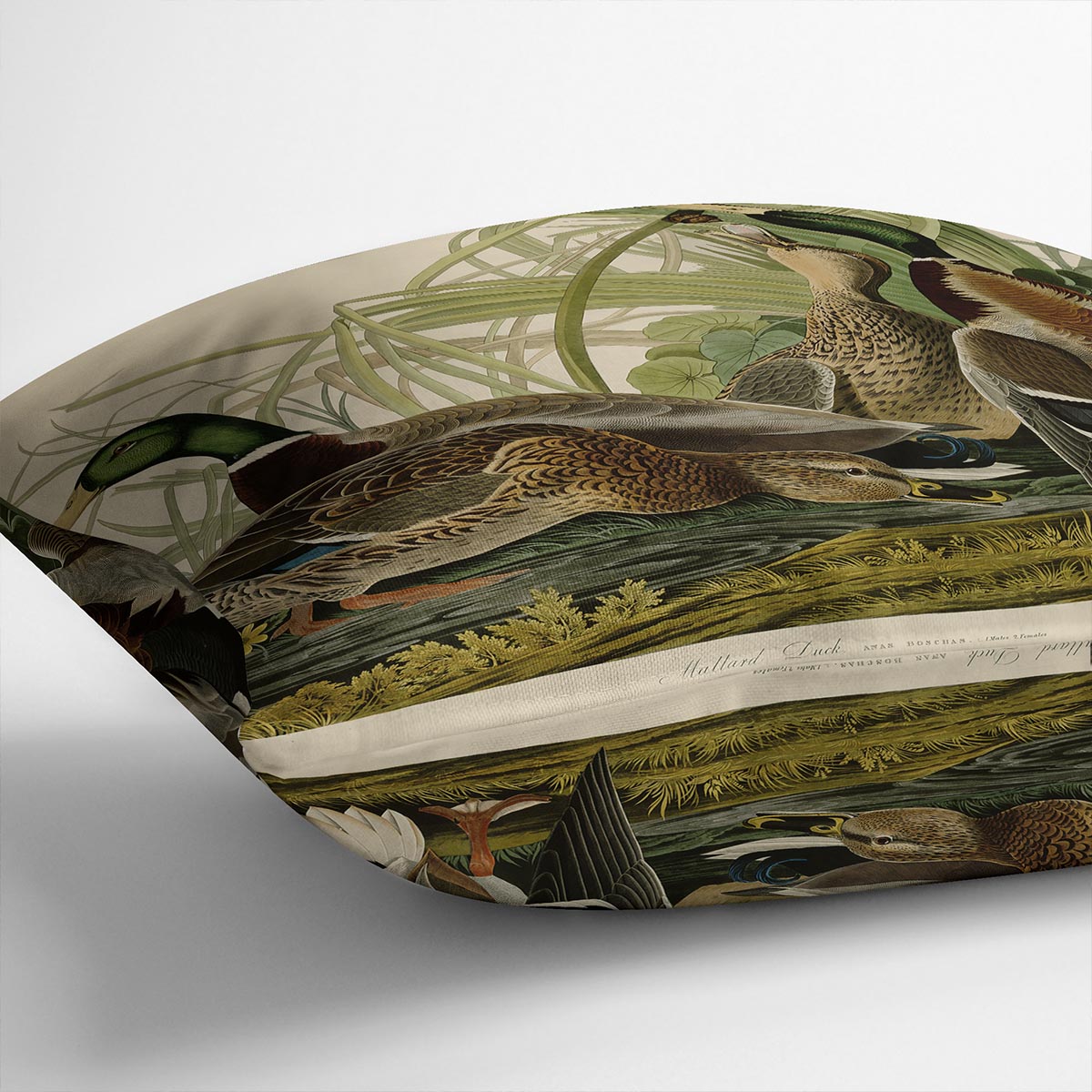 Mallard Duck by Audubon Cushion