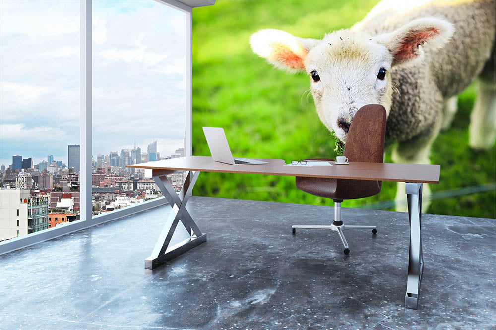 Mary had a little lamb Wall Mural Wallpaper - Canvas Art Rocks - 3