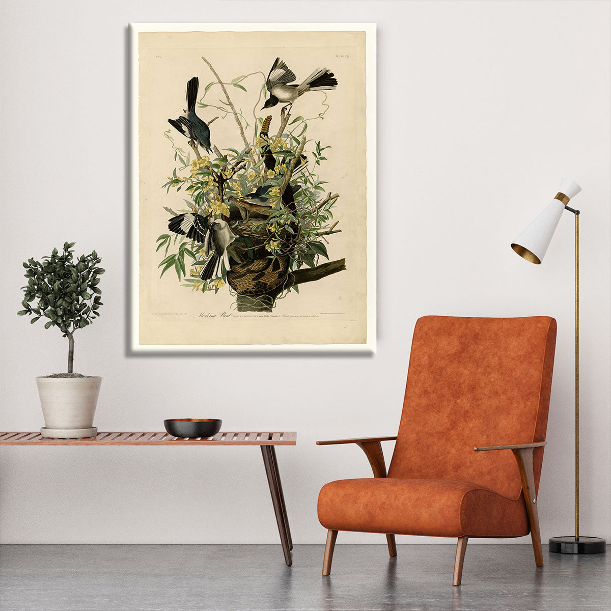 Mocking Bird by Audubon Canvas Print or Poster - Canvas Art Rocks - 6