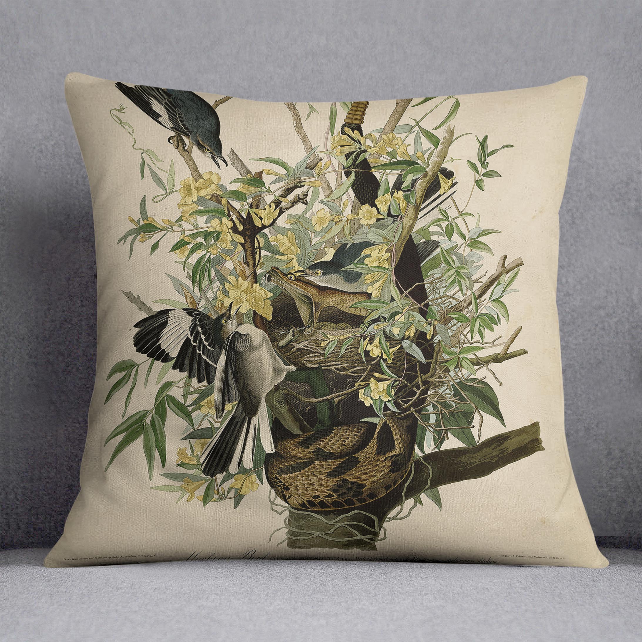 Mocking Bird by Audubon Cushion