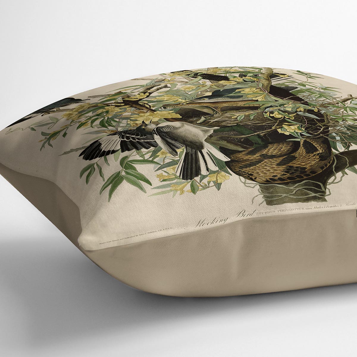 Mocking Bird by Audubon Cushion