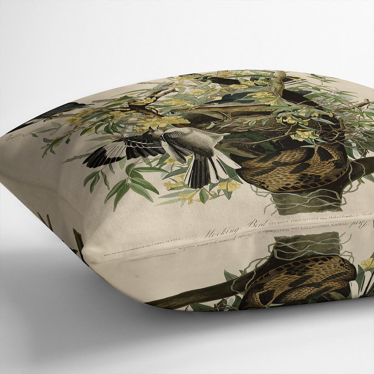 Mocking Bird by Audubon Cushion