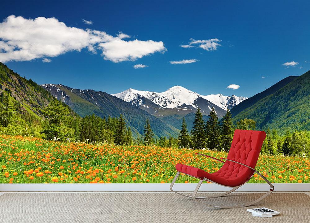 Mountain landscape with blossoming field Wall Mural Wallpaper - Canvas Art Rocks - 2