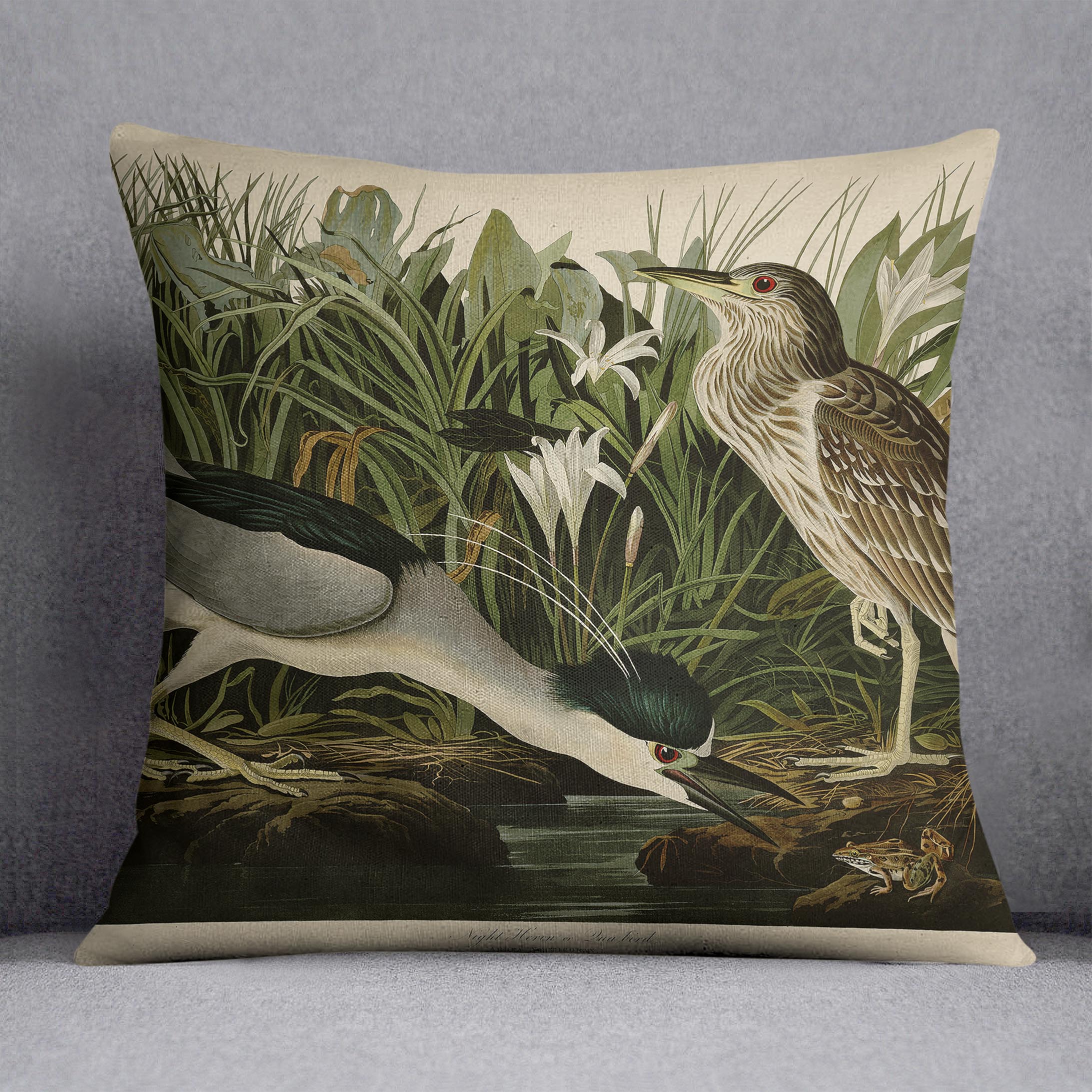 Night Heron by Audubon Cushion