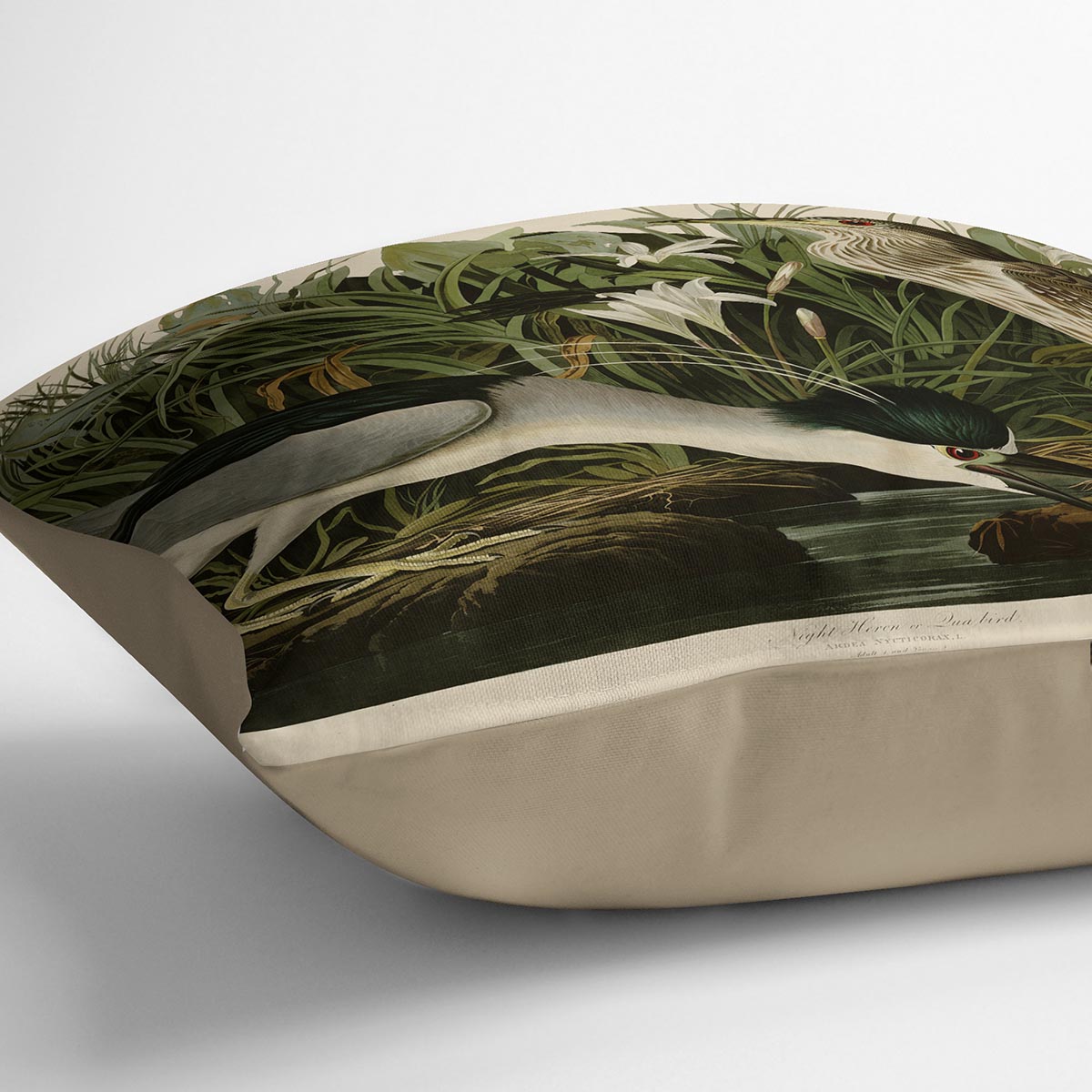 Night Heron by Audubon Cushion
