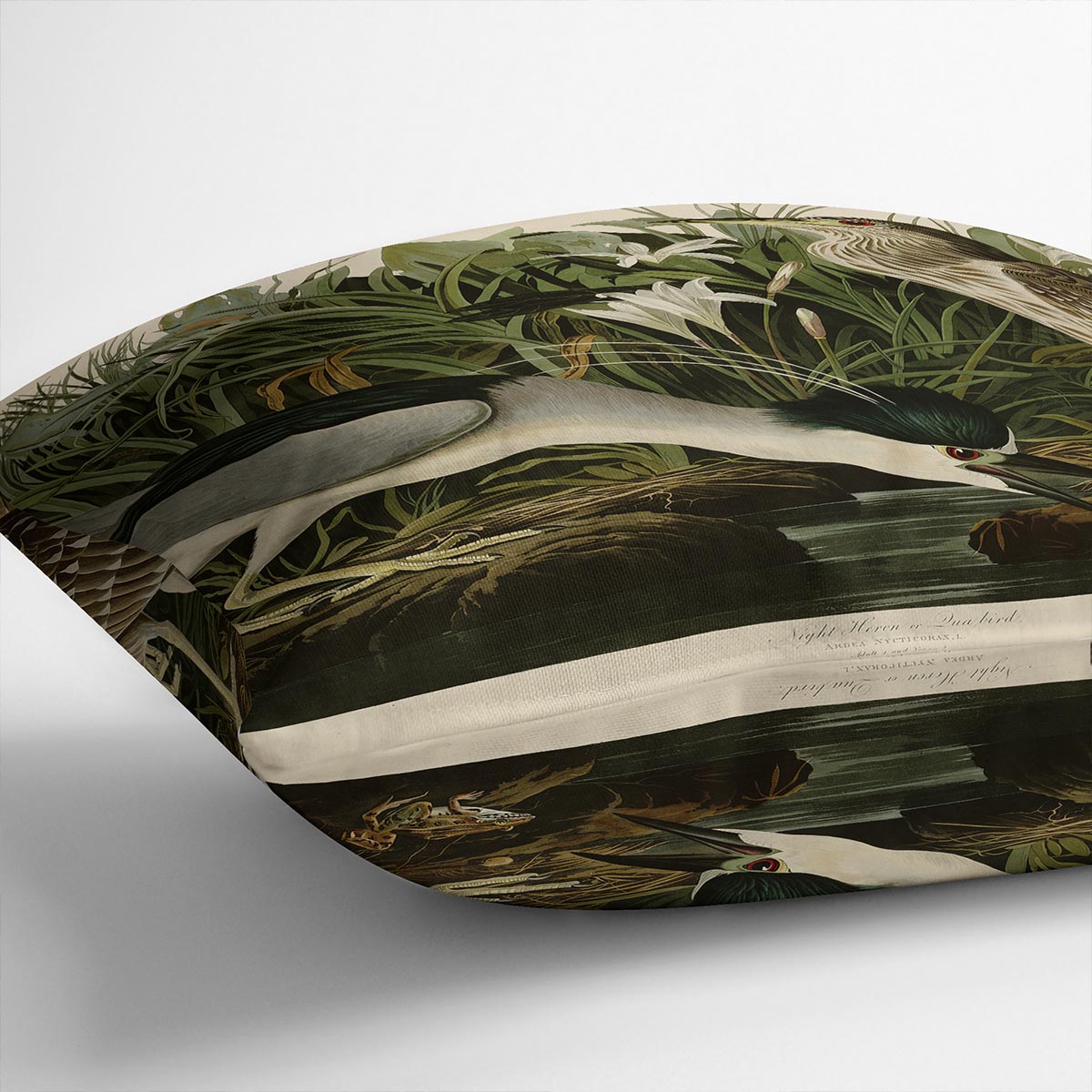 Night Heron by Audubon Cushion