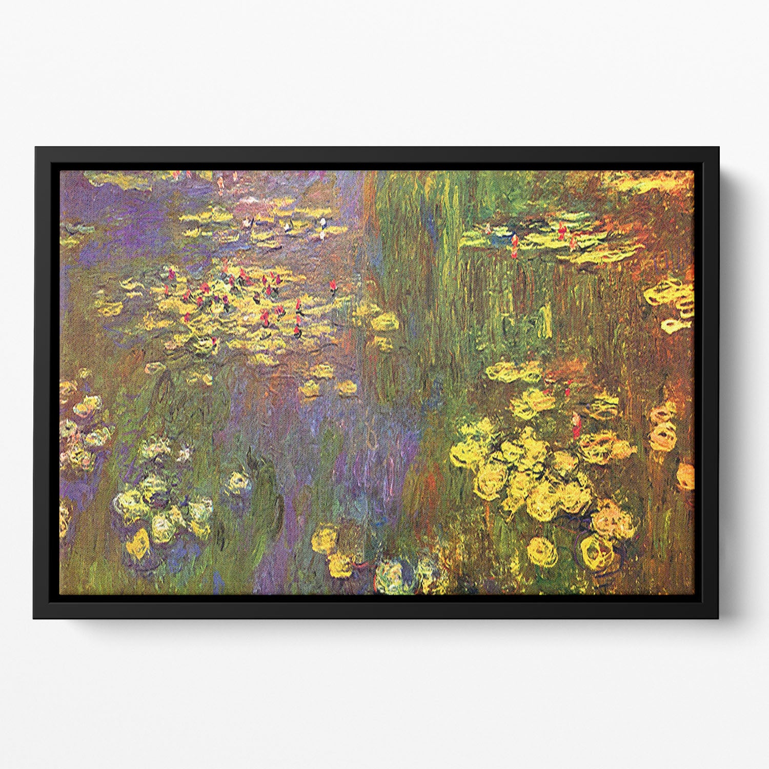 Nympheas water plantes by Monet Floating Framed Canvas