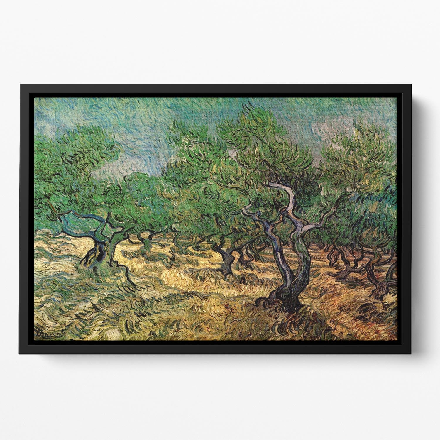 Olive Grove 2 by Van Gogh Floating Framed Canvas