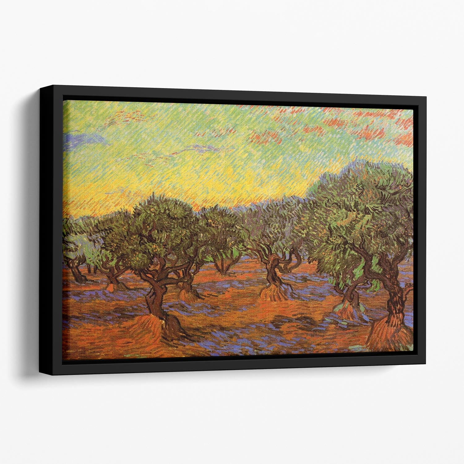 Olive Grove Orange Sky by Van Gogh Floating Framed Canvas