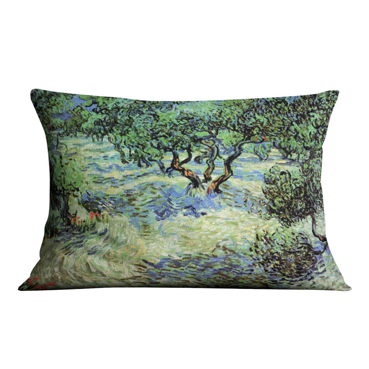Olive Grove by Van Gogh Cushion