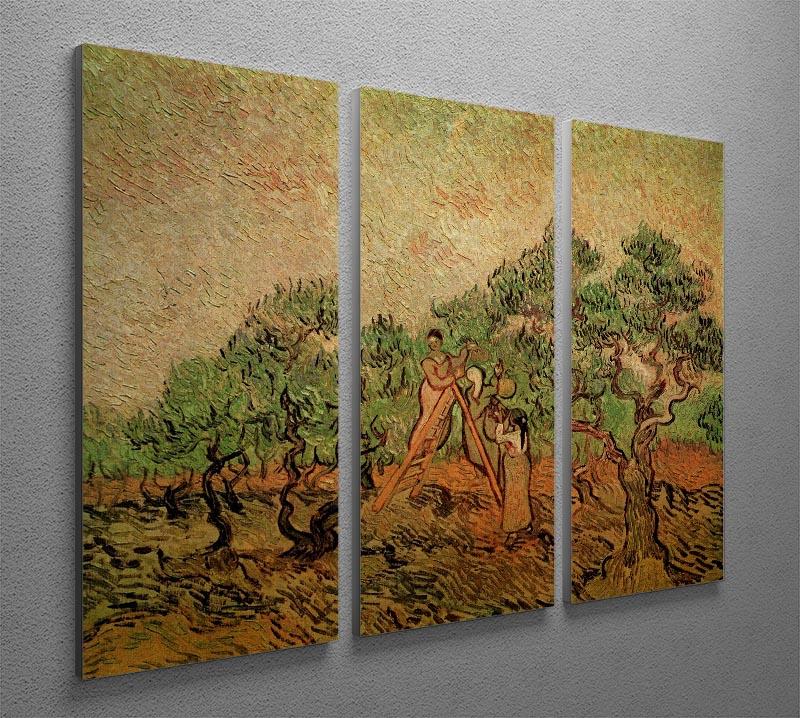 Olive Picking by Van Gogh 3 Split Panel Canvas Print - Canvas Art Rocks - 4