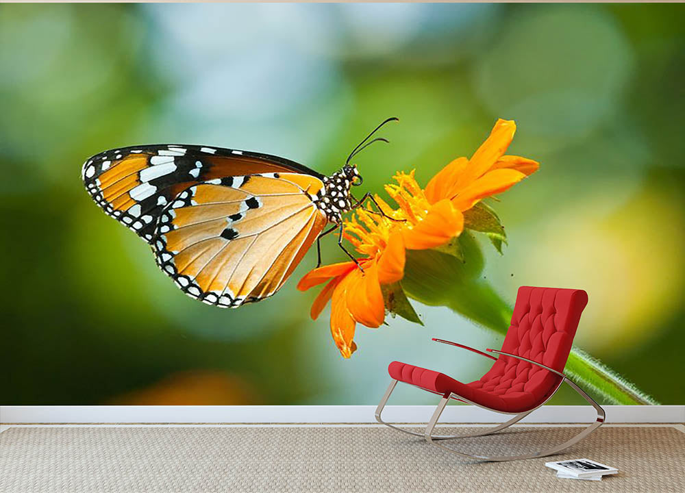 Orange butterfly on flower Thailand. Wall Mural Wallpaper - Canvas Art Rocks - 2