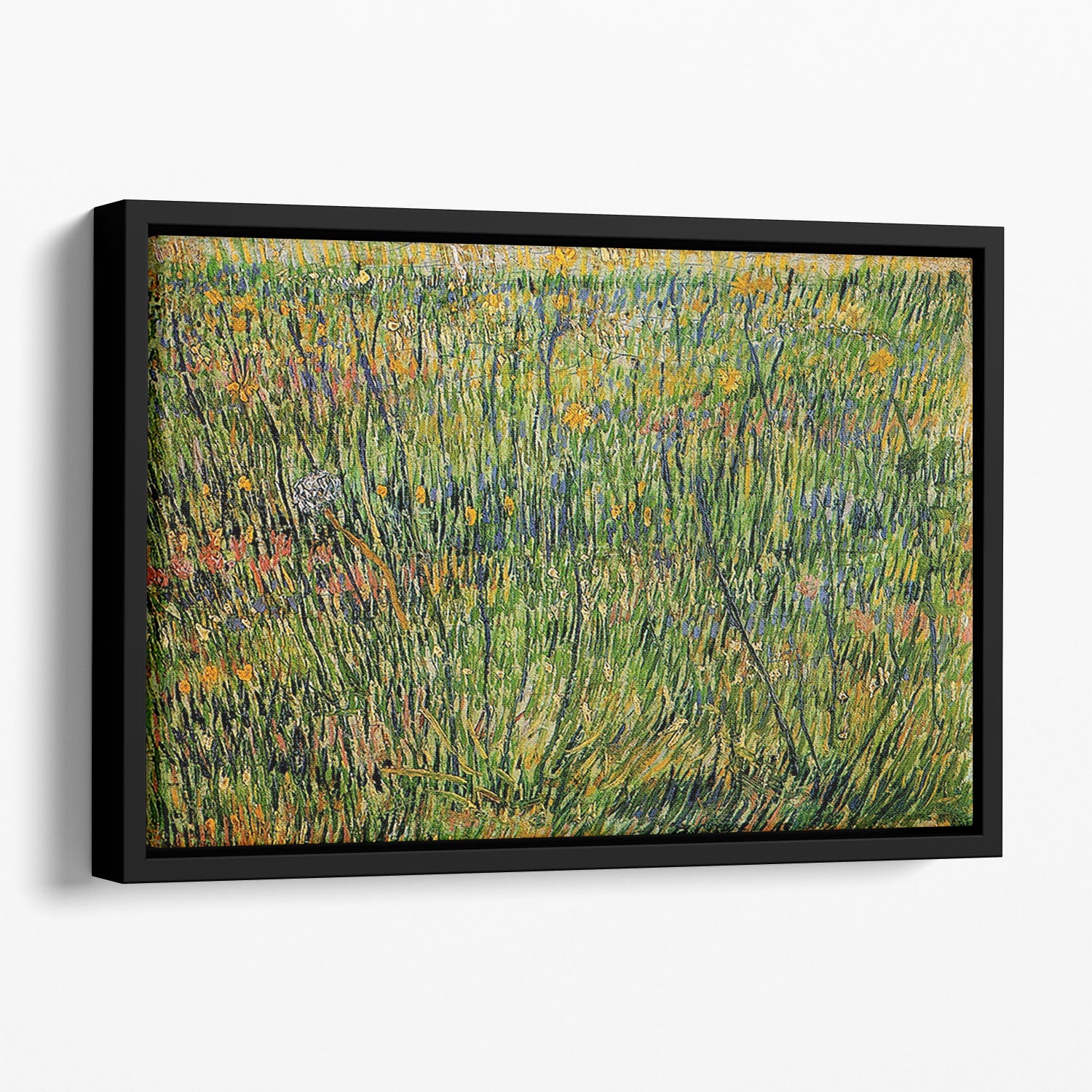 Pasture in Bloom by Van Gogh Floating Framed Canvas