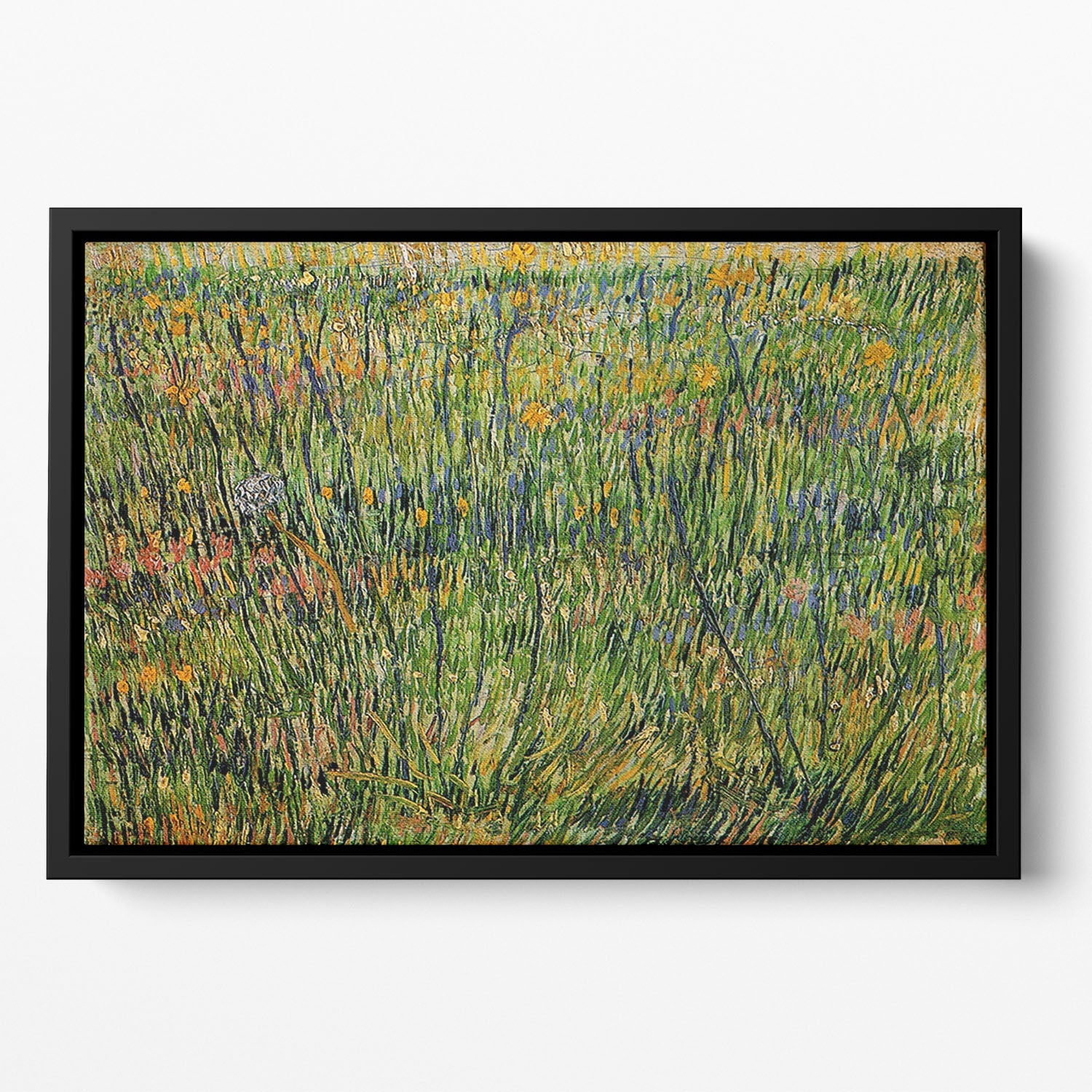 Pasture in Bloom by Van Gogh Floating Framed Canvas