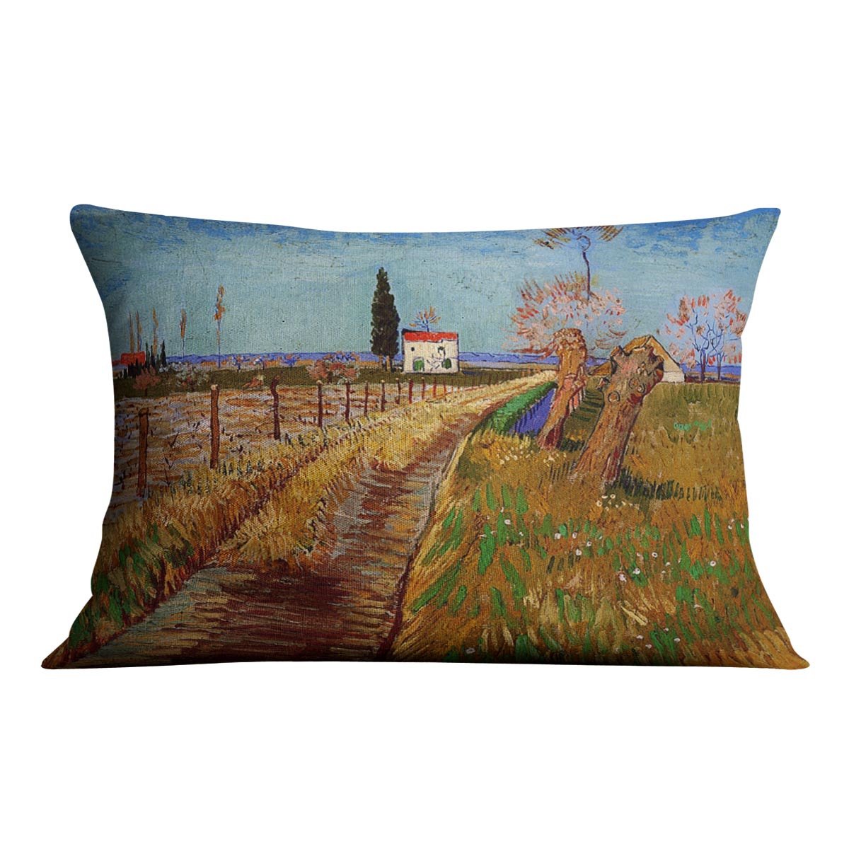 Path Through a Field with Willows by Van Gogh Cushion