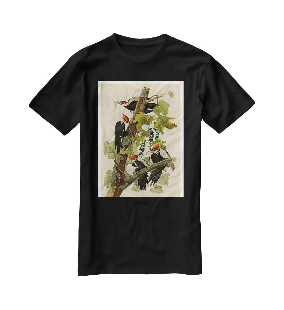 Pileated Woodpecker by Audubon T-Shirt - Canvas Art Rocks - 1