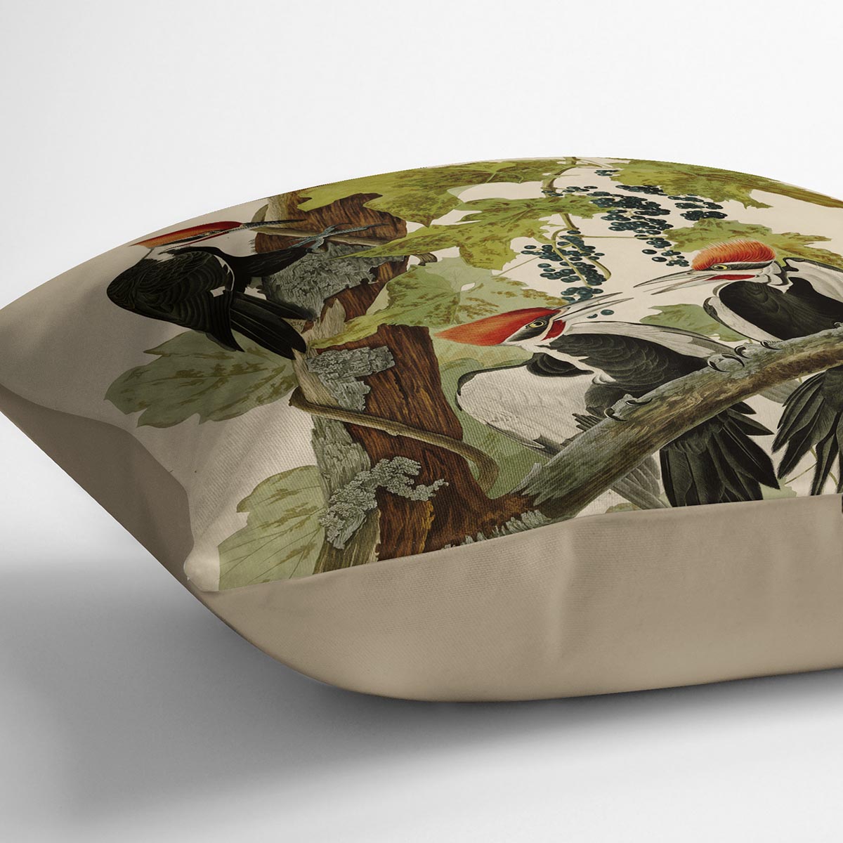 Pileated Woodpecker by Audubon Cushion