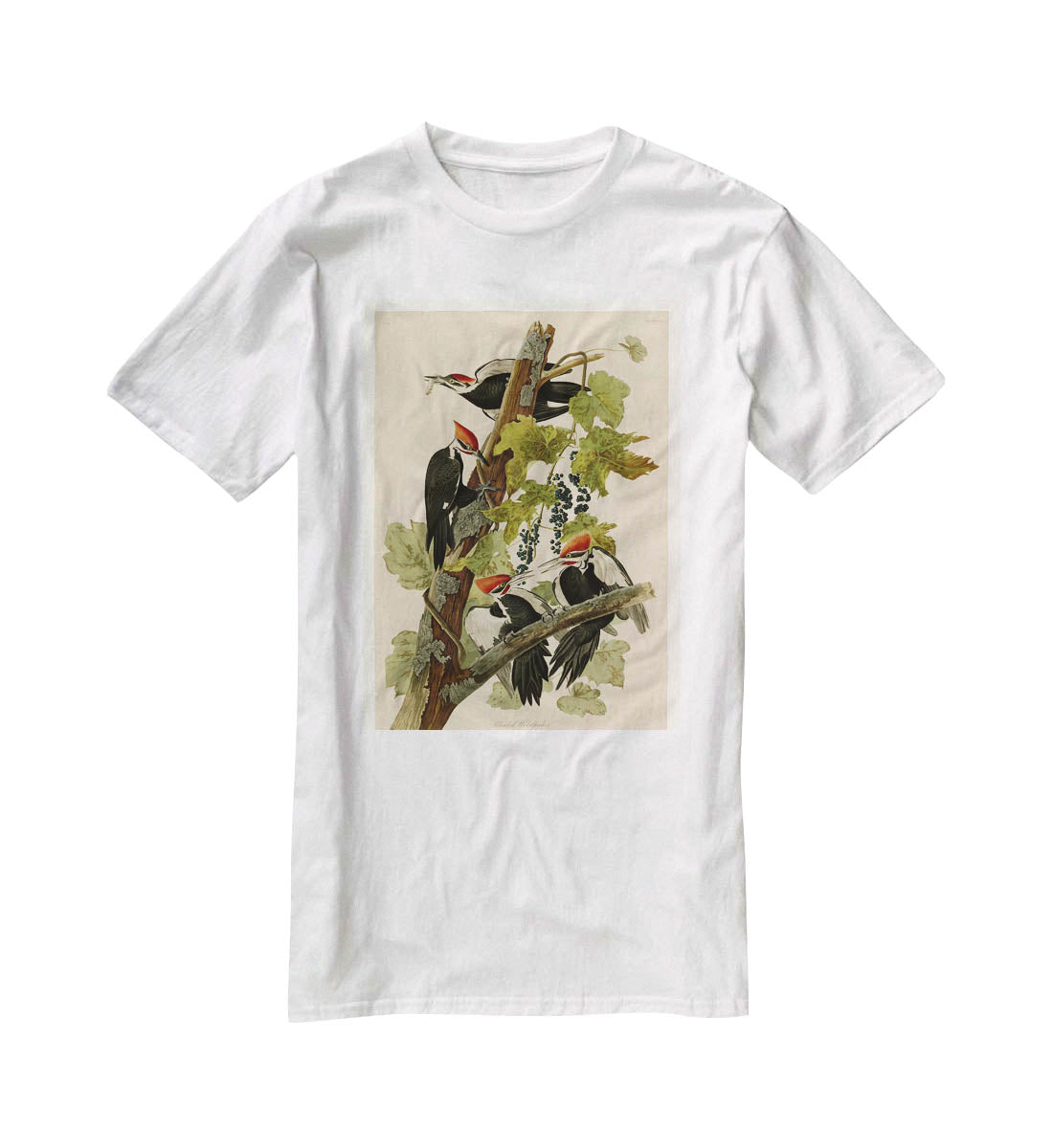 Pileated Woodpecker by Audubon T-Shirt - Canvas Art Rocks - 5