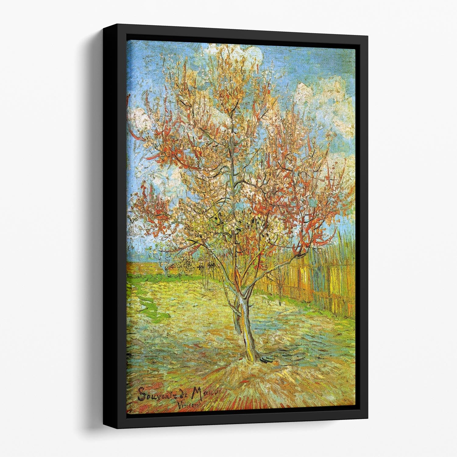 Pink Peach Tree in Blossom Reminiscence of Mauve by Van Gogh Floating Framed Canvas