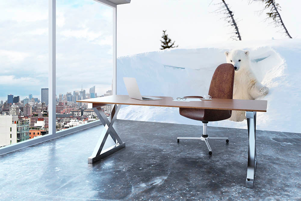 Polar bear Ursus maritimus cub coming out den Wall Mural Wallpaper - Canvas Art Rocks - 3