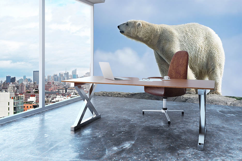 Polar bear walking on rocks Wall Mural Wallpaper - Canvas Art Rocks - 3