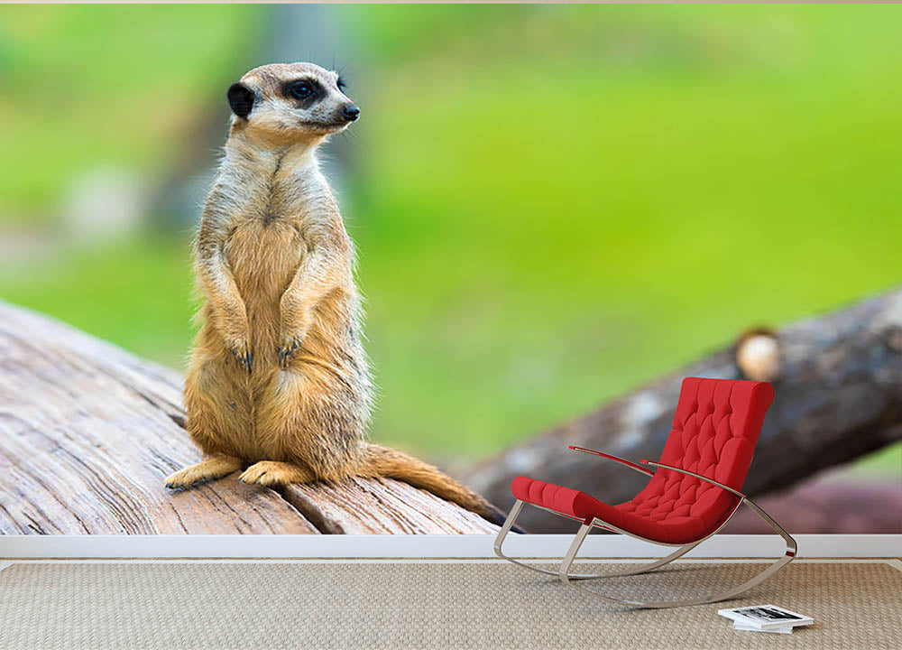 Portrait of Meerkat Wall Mural Wallpaper - Canvas Art Rocks - 2