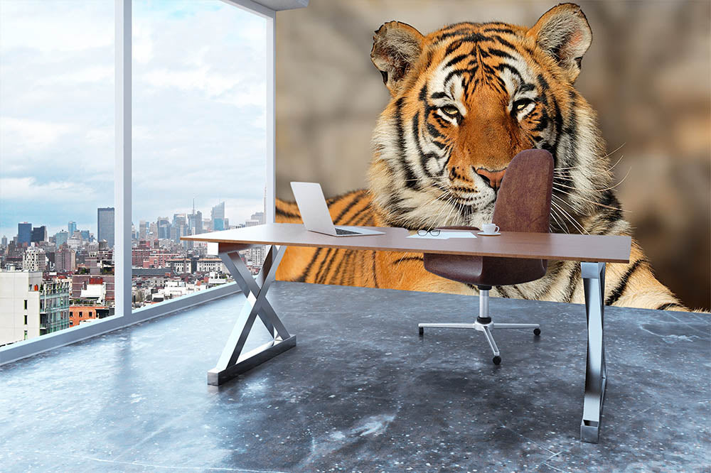 Portrait of a Bengal tiger Wall Mural Wallpaper - Canvas Art Rocks - 3