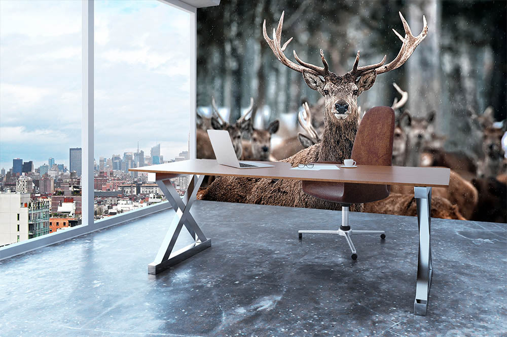 Red Deer Stag and Herd Wall Mural Wallpaper - Canvas Art Rocks - 3