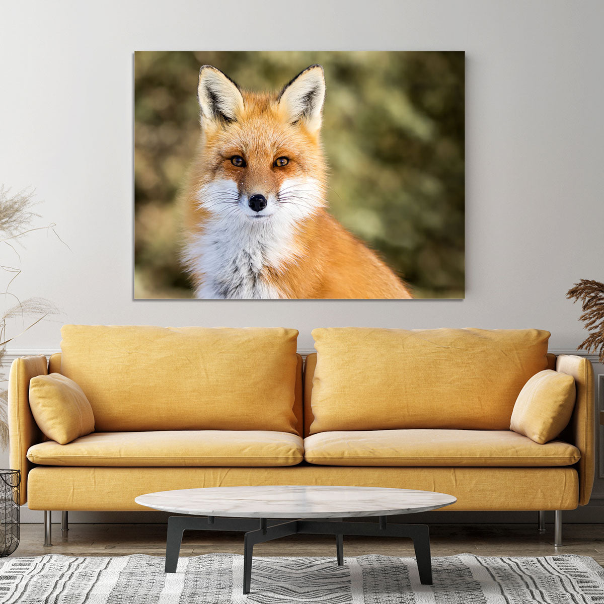 Red Fox - Vulpes vulpes sitting up at attention Canvas Print or Poster - Canvas Art Rocks - 4