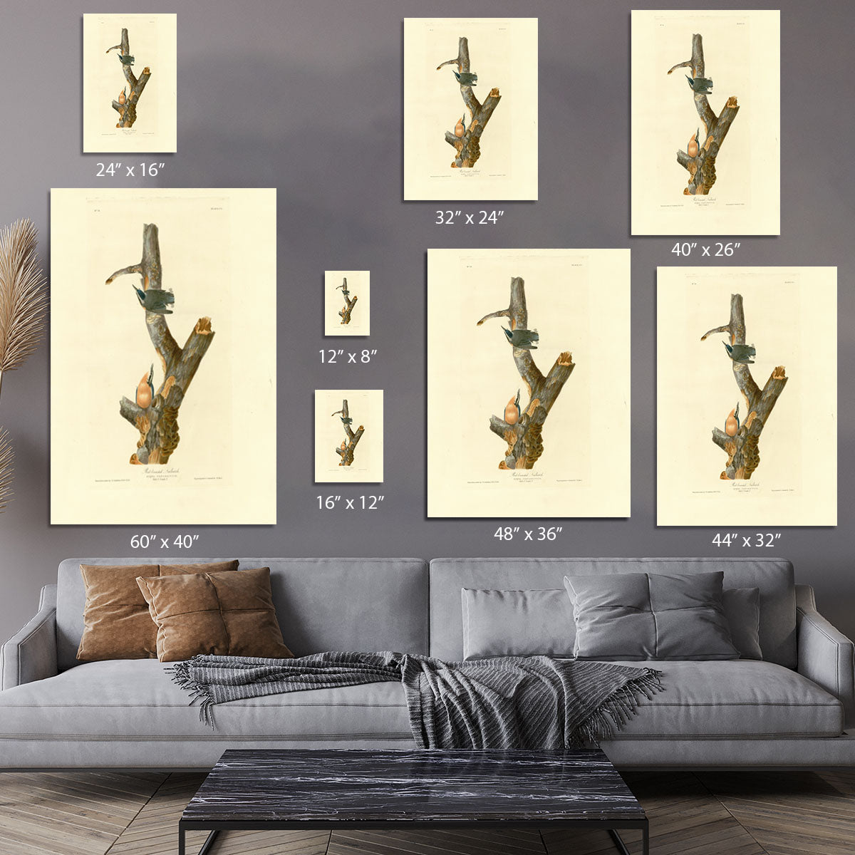 Red breasted Nuthatch by Audubon Canvas Print or Poster - Canvas Art Rocks - 7