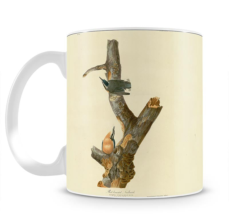 Red breasted Nuthatch by Audubon Mug - Canvas Art Rocks - 1