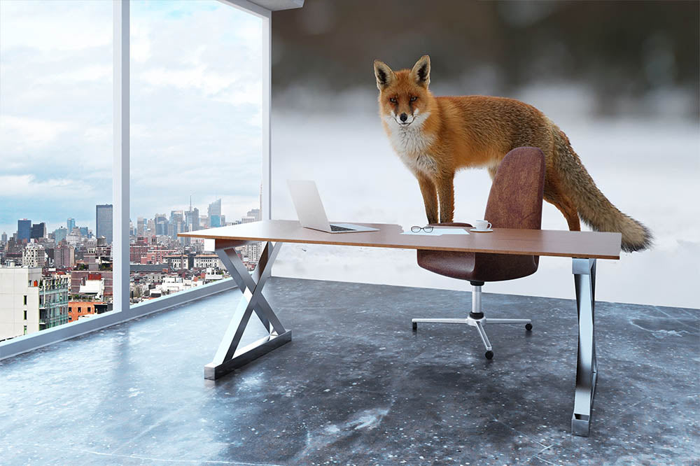 Red fox in the snow Wall Mural Wallpaper - Canvas Art Rocks - 3