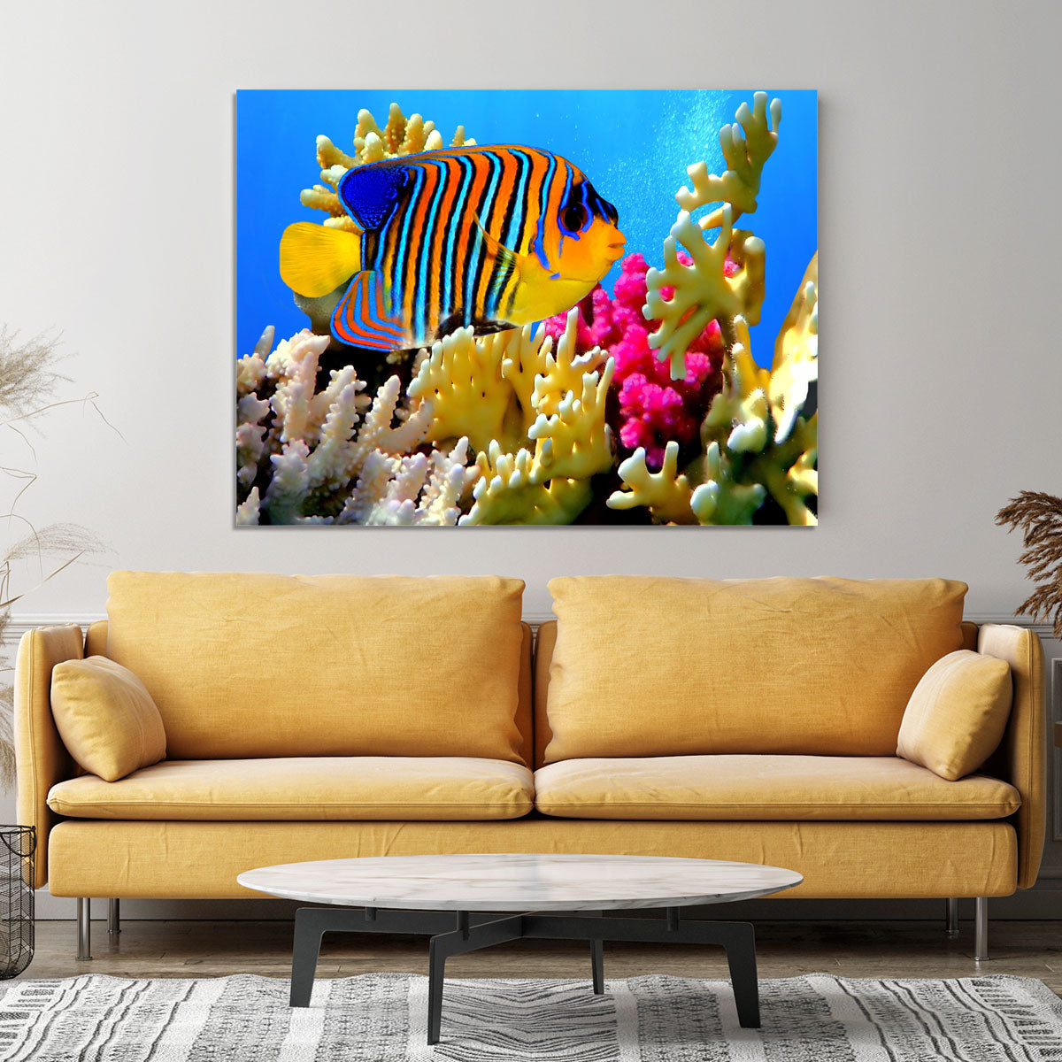 Regal angelfish Canvas Print or Poster - Canvas Art Rocks - 4