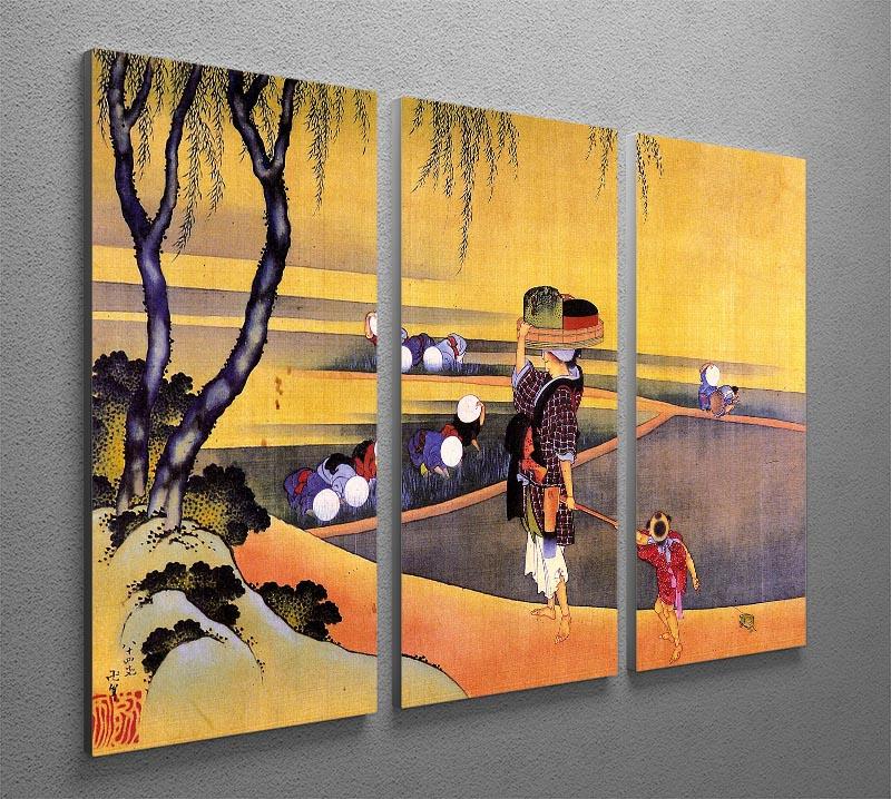 Rice fields by Hokusai 3 Split Panel Canvas Print - Canvas Art Rocks - 2