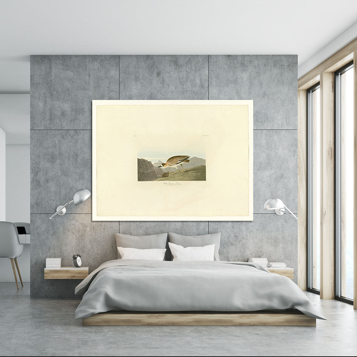 Rocky Mountain Plover by Audubon Canvas Print or Poster - Canvas Art Rocks - 5